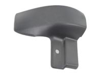 Mopar 1AS80XXXAE Molding, Front Passenger Side