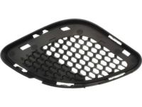 Mopar 68158580AB Outer Grille, Front Passenger Side
