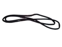 Mopar 68082802AC Weatherstrip Front Door Door Mounted Mopar 68082802AC Weatherstrip Front Door Door Mounted