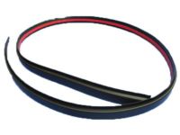 Mopar 68289840AC Roof Molding, Passenger Side