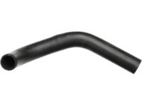 Mopar 52028010 Lower Hose