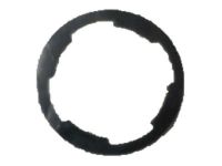 Mopar 68206059AA Gasket Lock Cylinder