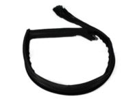 Mopar 4575891AK Run Weatherstrip, Front Driver Side