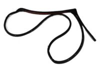 Mopar 68045992AA Weatherstrip Rear Door Mounted