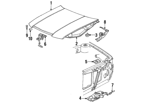 1989 Dodge Spirit Hood & Components Diagram