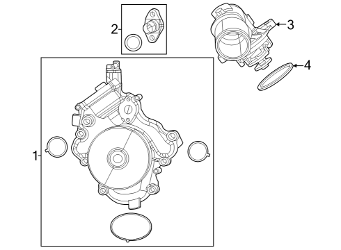 2022 Jeep Gladiator Water Pump Diagram