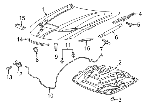 2019 Dodge Charger Hinge, Front Passenger Side Diagram for 55113550AG