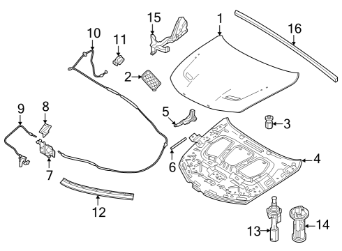 2024 Dodge Hornet Release Handle, Front Diagram for 68350522AA