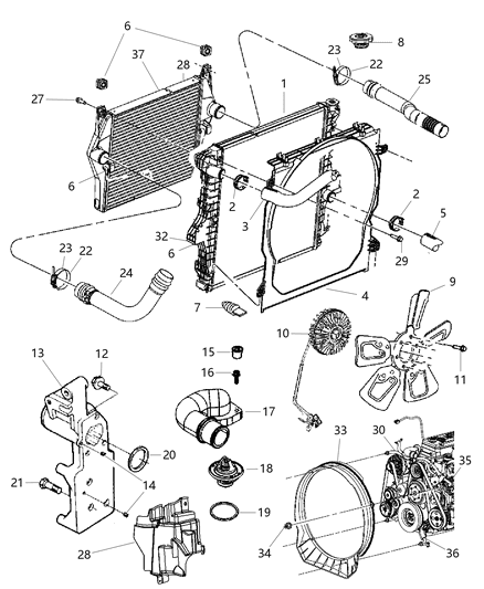 Nut And Washer Hexagon M8X1.25 Hinge To Hood Diagram for 6104726AB
