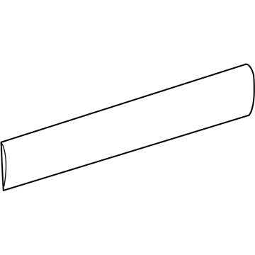 Dodge 1HB80XDVAA MOLDING Sliding Door