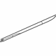 Mopar 68228677AA Molding Sliding Door