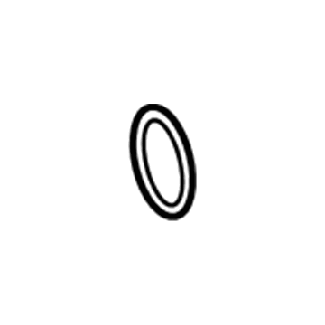 Chrysler 68152002AA Suction Line Seal