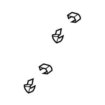 Jeep 6036684AA Converter & Pipe Nut