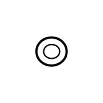Dodge 68100676AA Liquid Line O-Ring