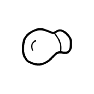 Jeep L0003157 Parking Lamp Bulb