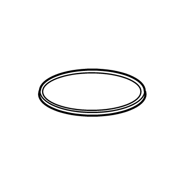 Ram 68304753AA Fuel Pump Assembly O-Ring