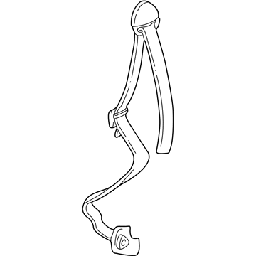 Dodge B1500 Seat Belt - 5EZ58SP8