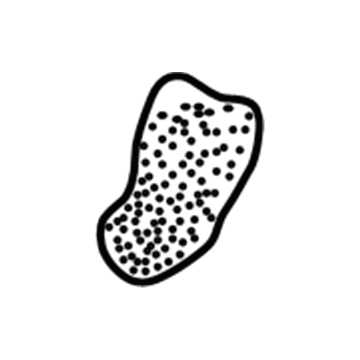 Dodge MR202290 Bolster Pad