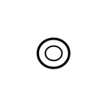 Dodge 68100676AA Liquid Line O-Ring