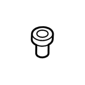 Dodge 1WP05DX9AA Grommet