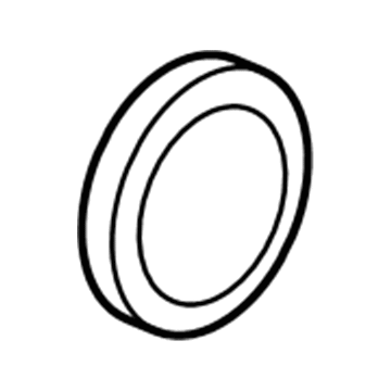 Jeep 4884873AA Inlet Tube O-Ring
