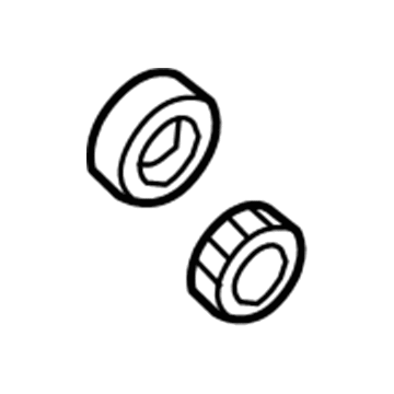 Dodge Ram 1500 Differential Bearing - 5072496AA