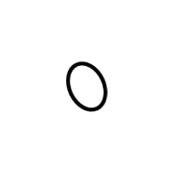 Chrysler 55276821AA Latch Seal