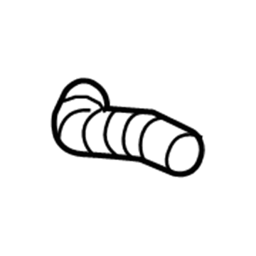 Jeep 68154966AA Canister Hose