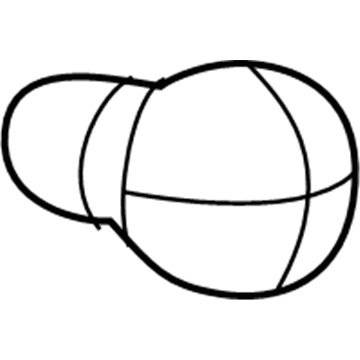 Dodge L00PY21W Signal Lamp Bulb