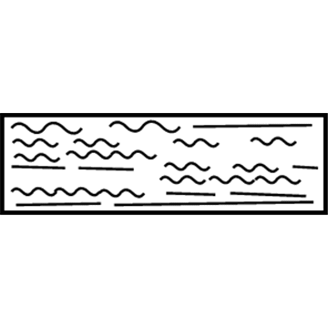 Dodge MB682048 Air Bag Label