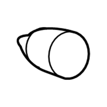 Ram 68094355AA Tail Lamp Bulb