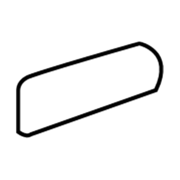 2006 Dodge Ram 3500 Door Moldings - 5HC47ZBJAA