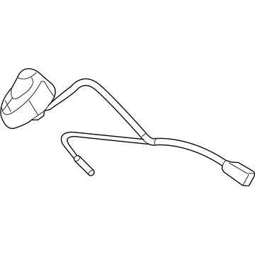 Jeep Antenna - 5064771AC