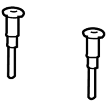 Dodge 1DS91BD5AA Headrest Guide