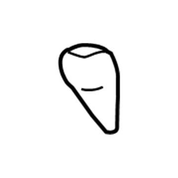 Dodge Shift Knob - 4779399AC