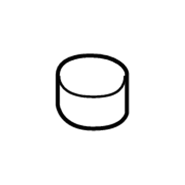 Chrysler 68207789AA Magnet