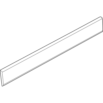 Ram 1ZT46JXWAC Body Side Molding