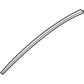 Chrysler Town & Country Door Moldings - 5020498AA