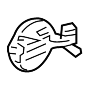 Dodge 55275538AC Fuel Door