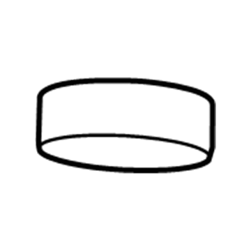 Chrysler 68207789AA Magnet