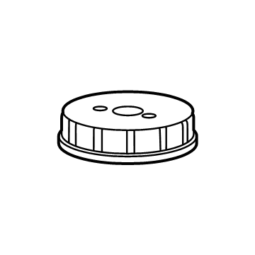 Ram 68677688AA Reservoir Cap