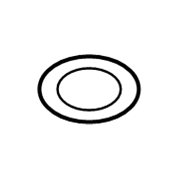 Dodge 6032780 Filter O-Ring