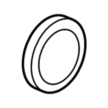 Jeep 4884873AA Inlet Tube O-Ring