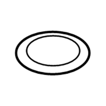 Ram 4799964AD Filter O-Ring