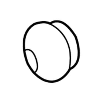 Dodge 4509396 Dust Cap