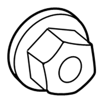 Ram 6101447 Door Glass Nut