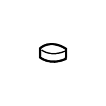 Dodge 5FP58XDV Panel Plug