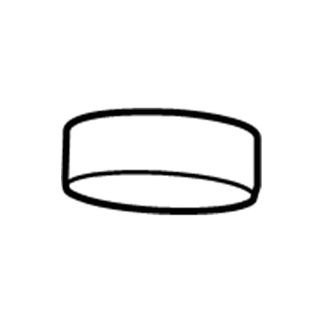 Chrysler 68207789AA Magnet