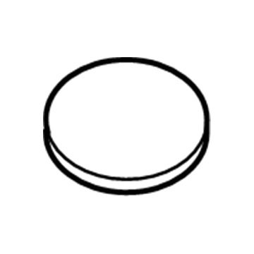 Dodge WC09DX9AA Speaker Grille