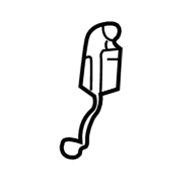 Dodge YC62WL8AA Lock Knob